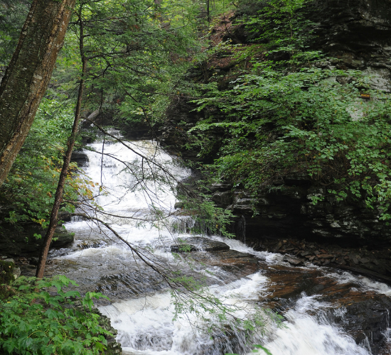 A Journey through States of Water