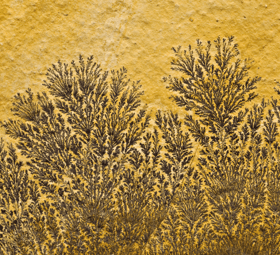 Oxides and Their Properties Quiz: Are You Ready?