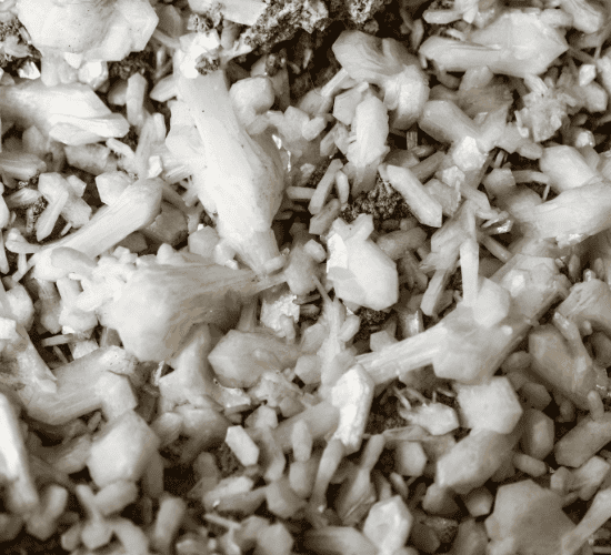 Silicates Quiz: Show What You Know