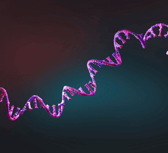 Acids and Bases Quiz: Test Your Brainpower
