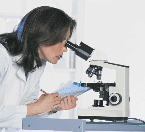 Stoichiometry Quiz: Prove Your Skills