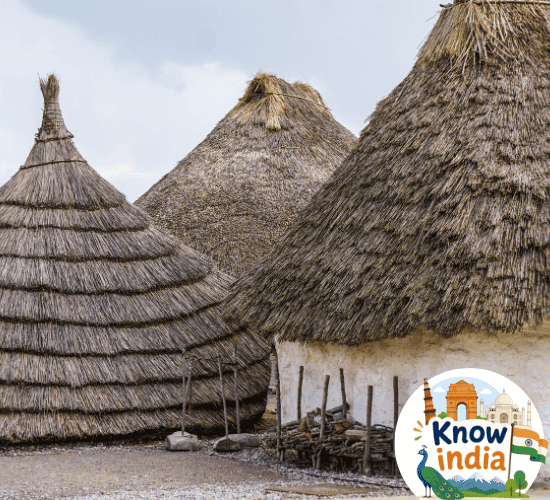 Neolithic Age in India Quiz: Are You A Genius?