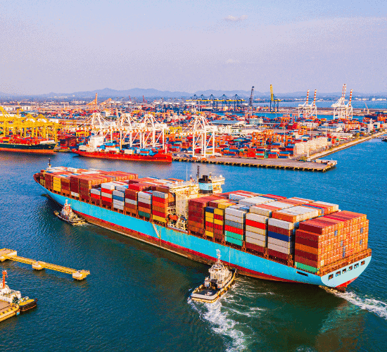Imports in India Quiz: Can You Ace It?