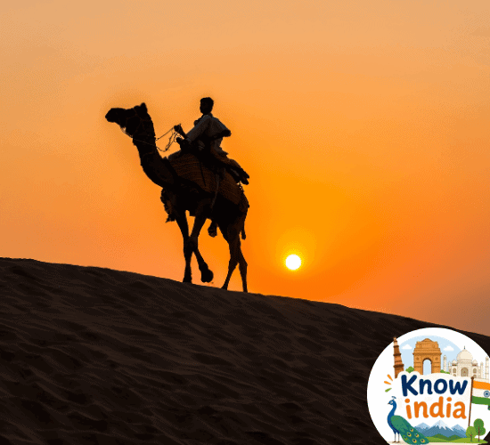 Little Rann of Kutch Quiz: Are You a Genius?