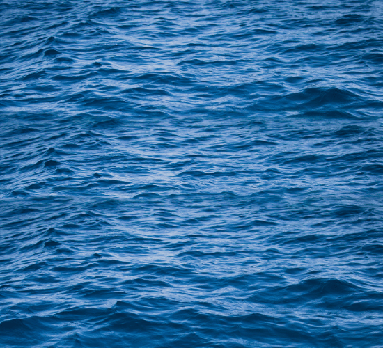 Water Around Us MCQ for Grade 1 Science Olympiad