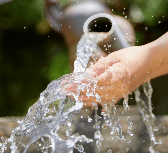 Uses of Water Practice Quiz : Grade 1 Science Olympiad
