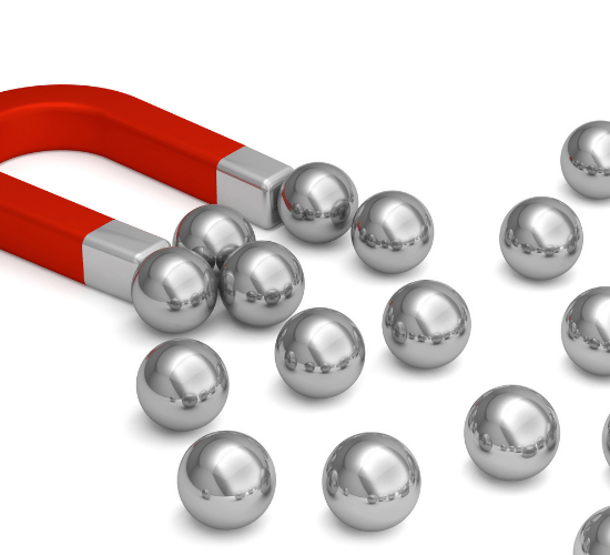 Magnetic and Non-Magnetic Objects Quiz for Grade 1 Science Olympiad