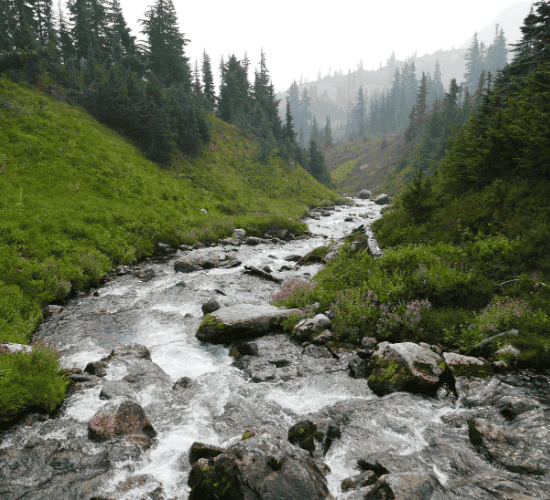 Natural Resources