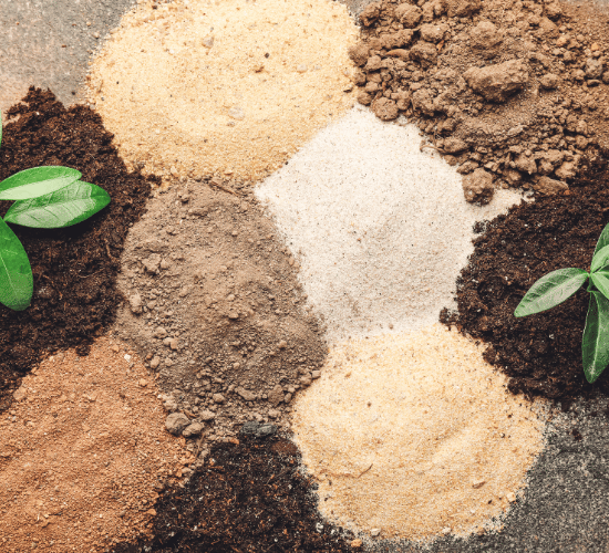 Soil Formation Quiz for Grade 3 Science Olympiad