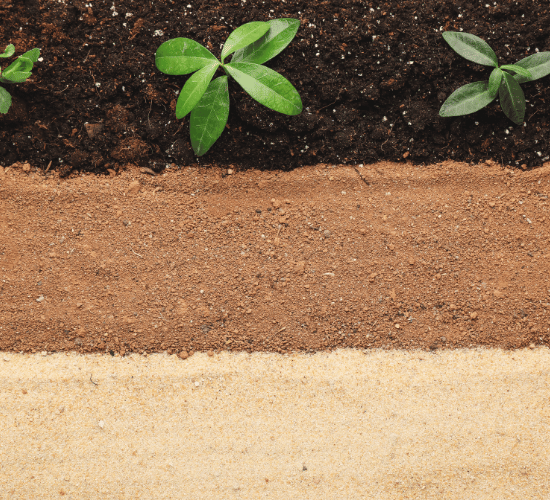Importance of Soil MCQ for Grade 3 Science Olympiad
