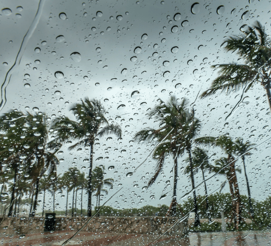 Weather and Its Elements Online Quiz : Grade 3 Science Olympiad