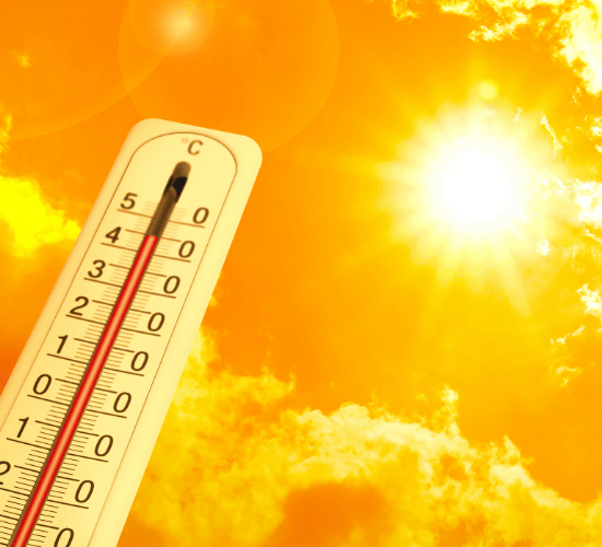 Measuring Temperature Quiz Test : Grade 3 Science Olympiad