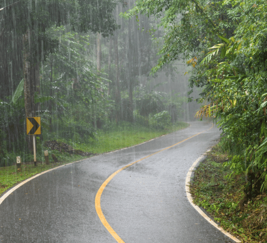 Types of Rainfall MCQ for Grade 3 Science Olympiad