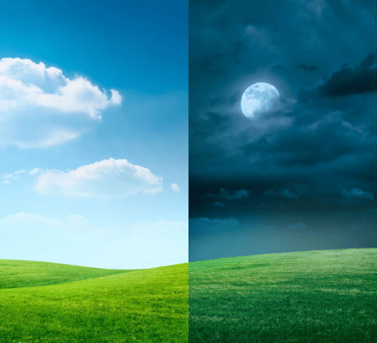 Day and Night Explained Online Quiz : Grade 3 Science Olympiad