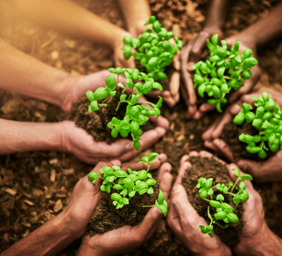 Conservation of Natural Resources Online Quiz : Grade 3 Science Olympiad