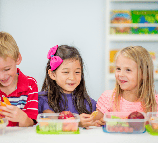 Food Chains for Kids Multiple Choice Questions for Grade 3 Science Olympiad