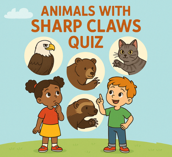 Animals with sharp Claws Quiz