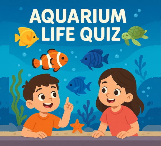 Aquarium Life Quiz