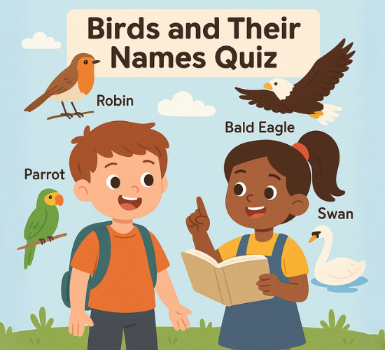 Birds and Their Names Quiz
