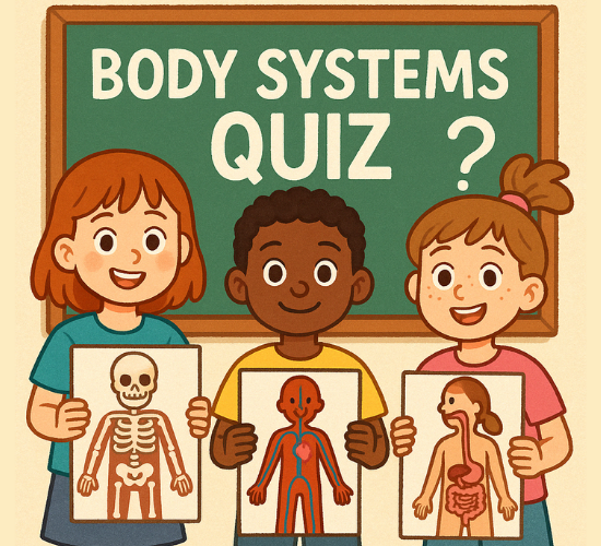 Body Systems Quiz