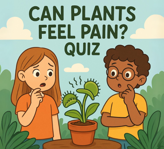 Can Plants Feel Pain?: True or False Quiz