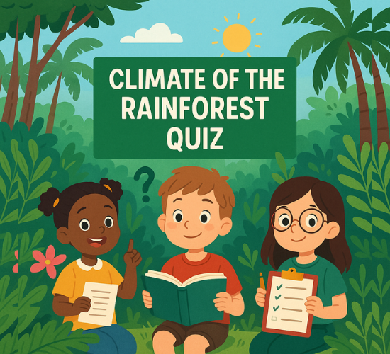 Unravel the Rainforest Climate Mystery