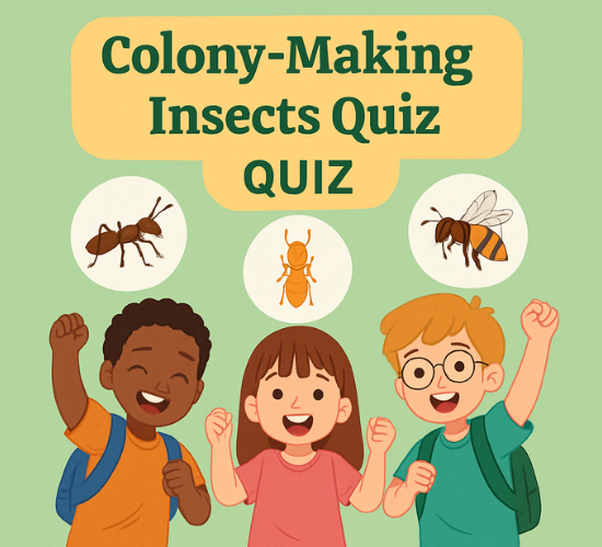 Colony making insects Quiz