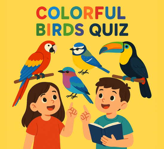 Colorful Birds Quiz