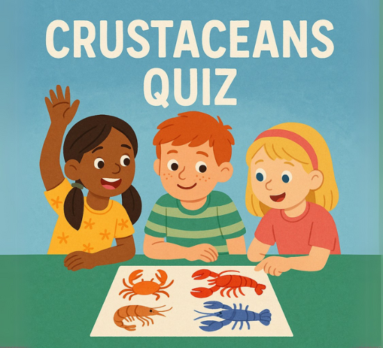 Discover the World of Crustaceans