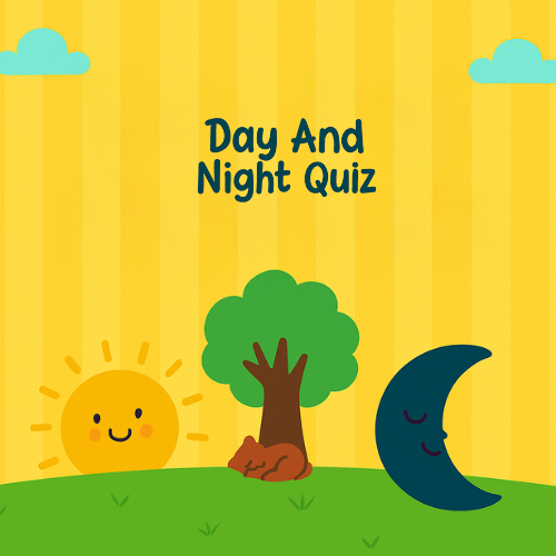 Day And Night Quiz