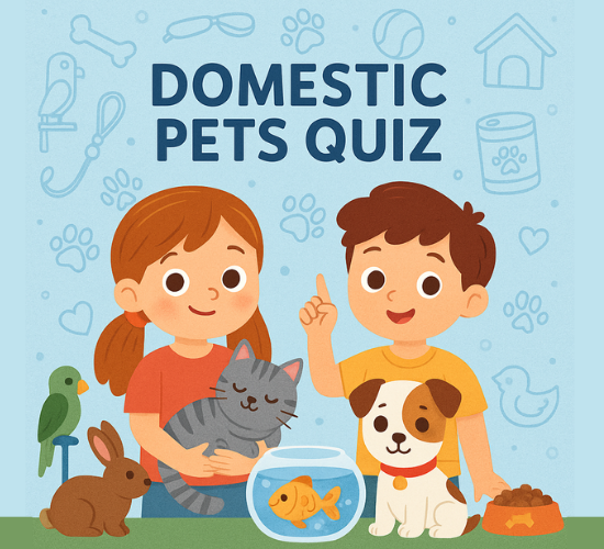 Domestic Pets Quiz