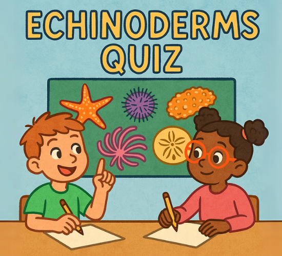 Guess the Echinoderm Species