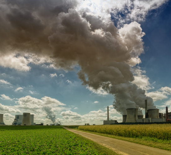 Explore the Effects of Pollution Quiz