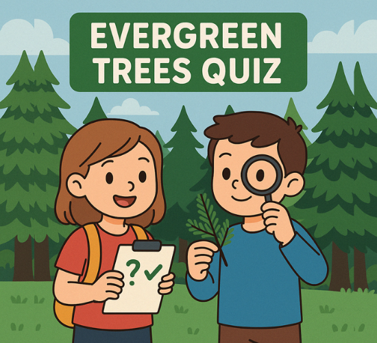 Evergreen Trees Quiz