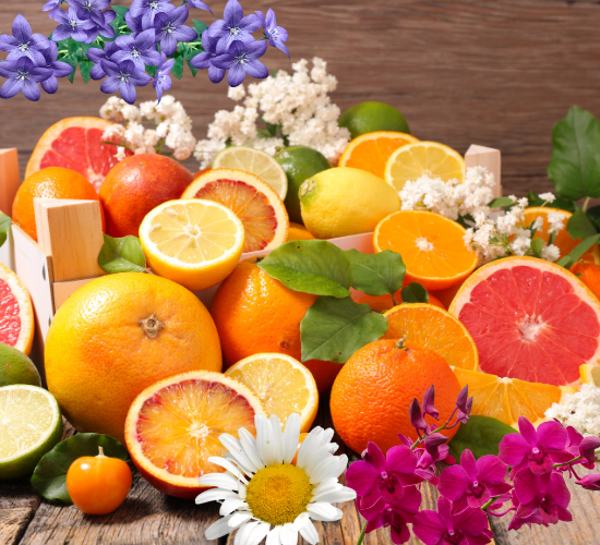 Flowers or Fruits Quiz