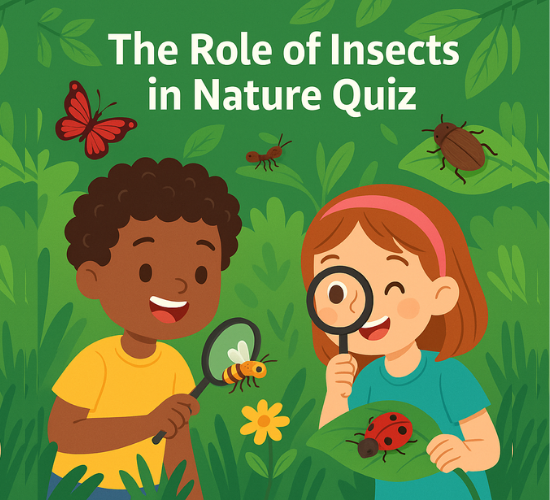 The Role of Insects in Nature Quiz