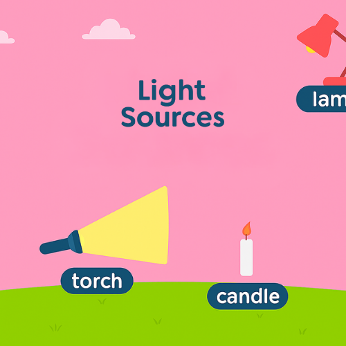 Light and Shadows Quiz