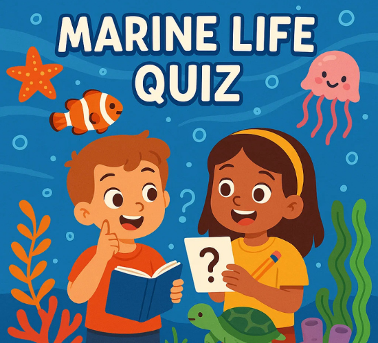 Marine Life Quiz