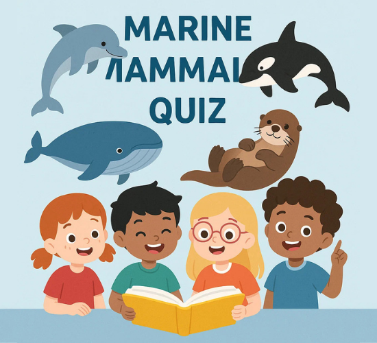 Discover Secrets of Marine Mammals