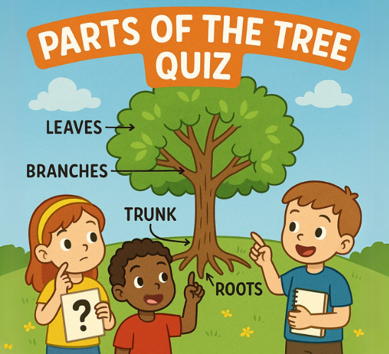 How Well Do You Know Tree Parts?