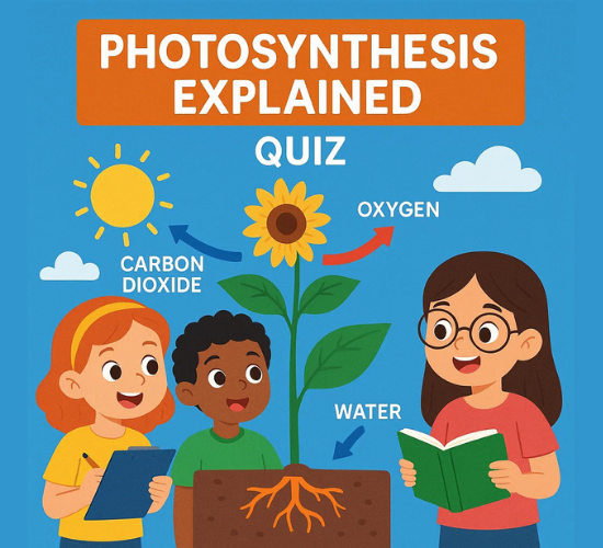 Photosynthesis Explained Quiz