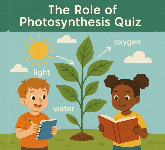 The Role of Photosynthesis Quiz