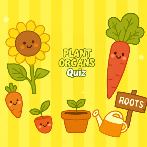 Learn about Plant Organs Quiz