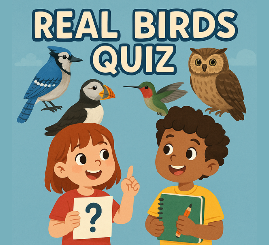 How Many Real Birds Can You Name?