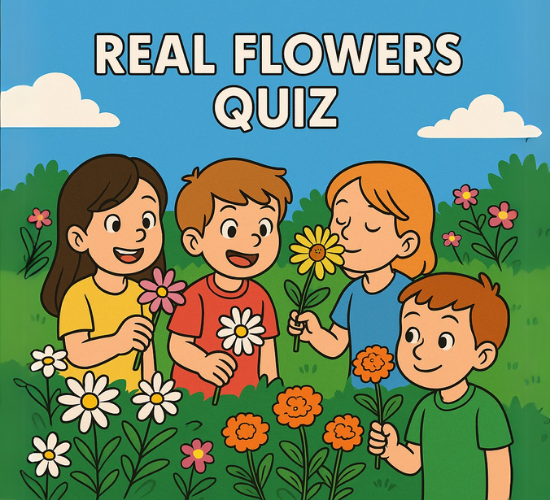 Real flowers Quiz