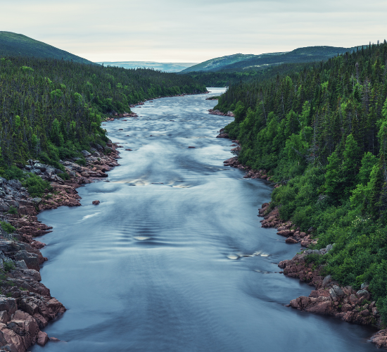 Rivers of World Quiz