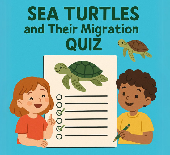 Sea Turtles and Their Migration Quiz