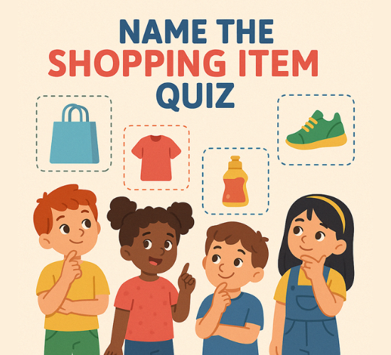 Name the Shopping Item Quiz
