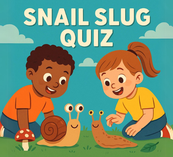 Snail Slug Quiz