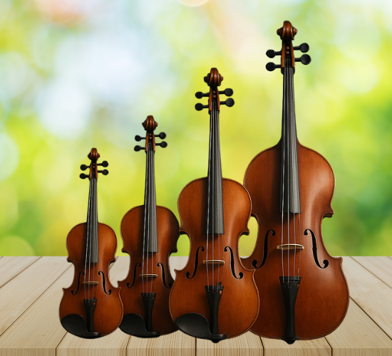 String Instruments Challenge Quiz